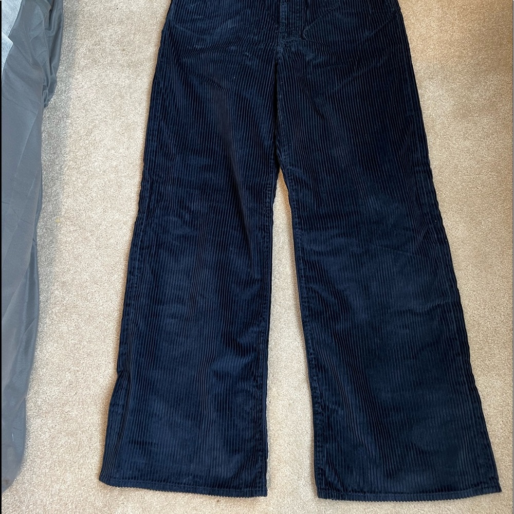Velour Levi’s Pants